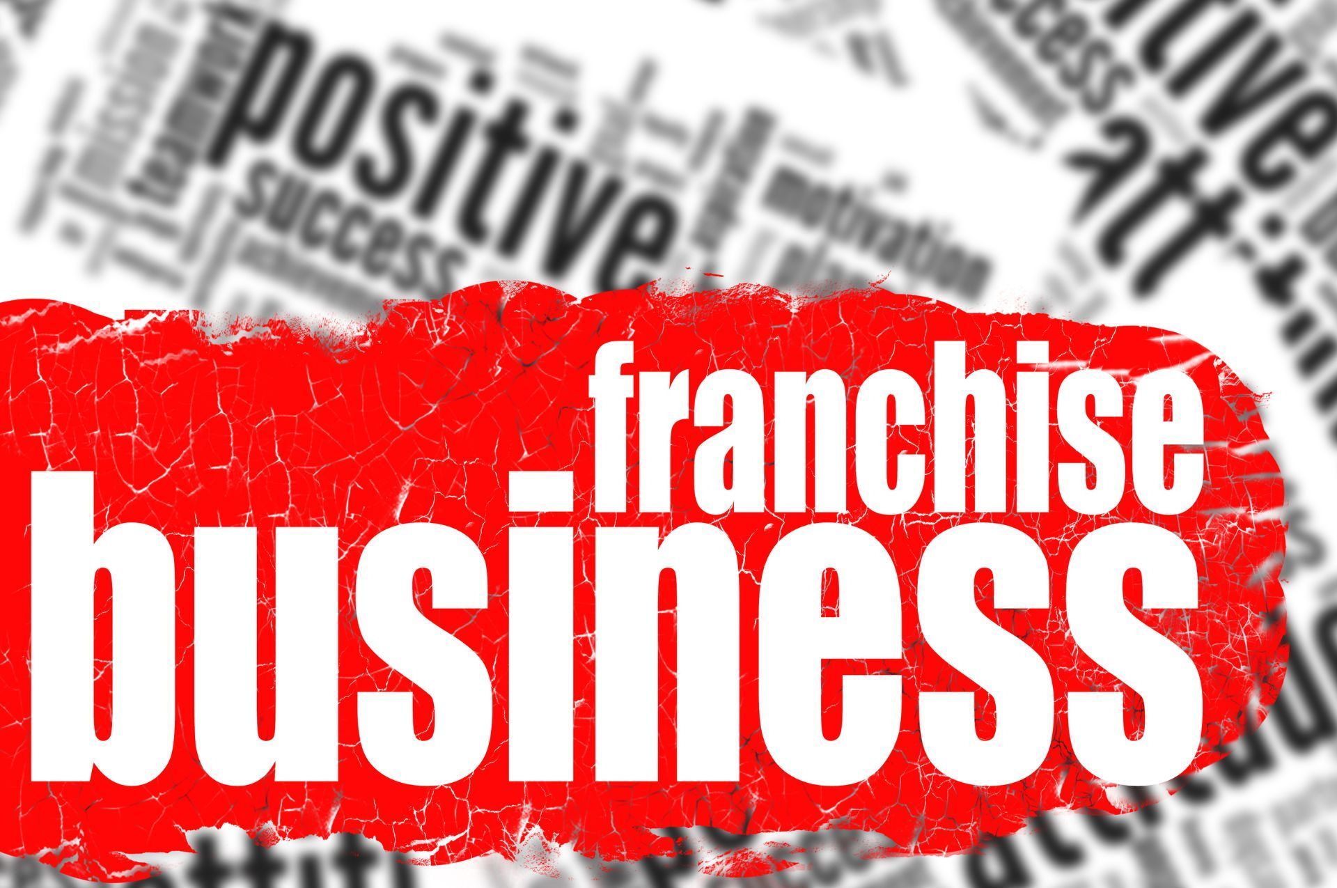 franchisor definition & meaning /what is a franchise?