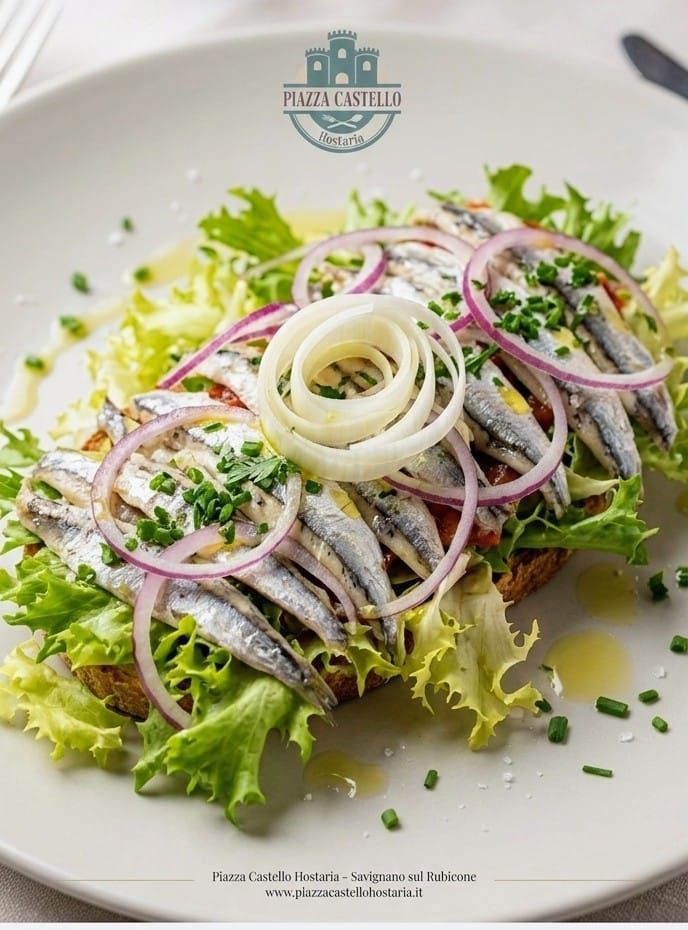 Insalata servita su un piatto bianco con lattuga, cipolle ed erbe aromatiche, guarnita con cipolle rosse a fette e verdure a foglia verde.