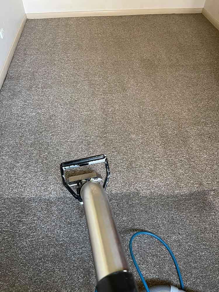 Steam Cleaning — Albury Wodonga Cleaning Service