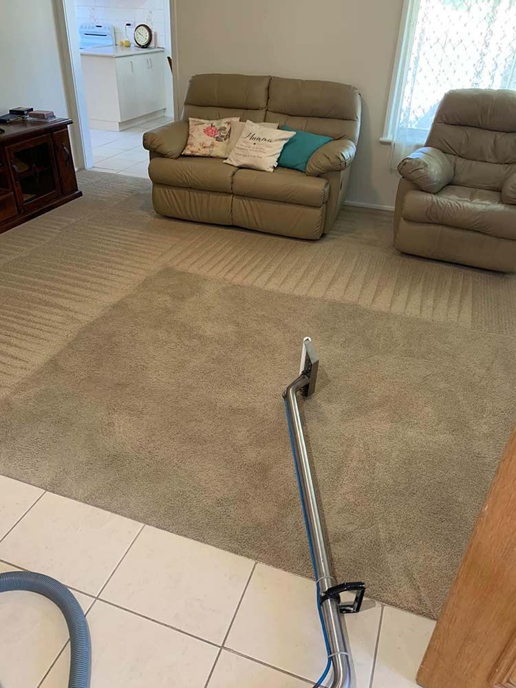 Carpet Steam Cleaning — Albury Wodonga Cleaning Service