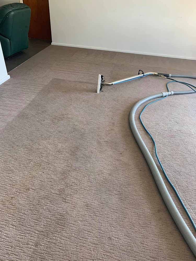 End of Lease Carpet Cleaning — Albury Wodonga Cleaning Service