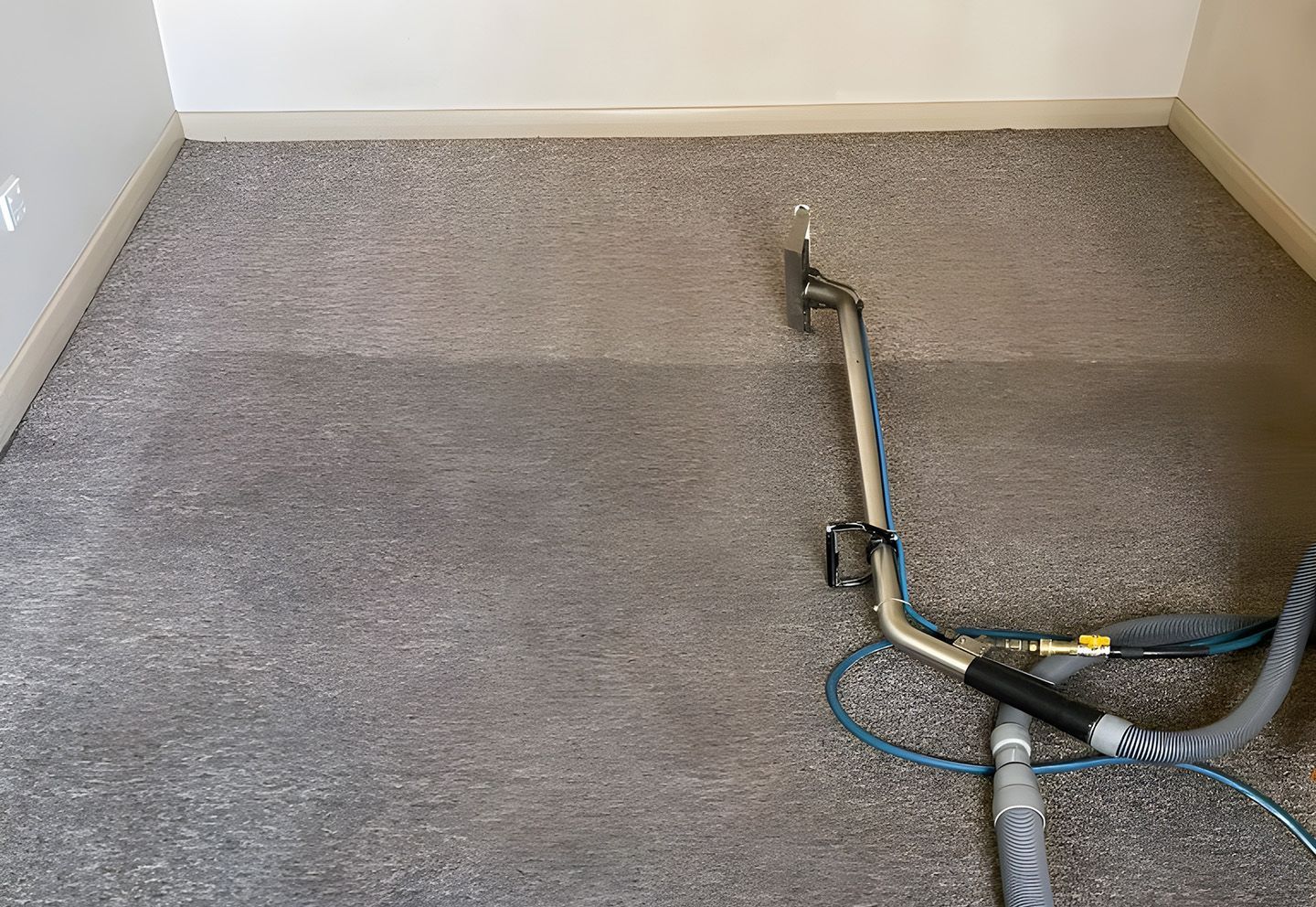 Carpet cleaning machine hose on a gray carpeted floor in a room corner