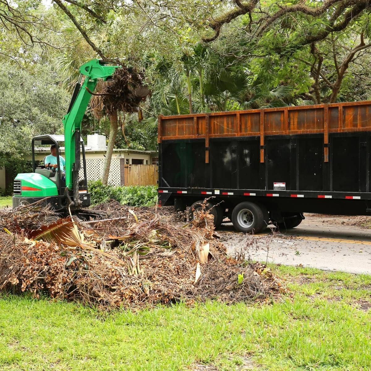 A small excavator loads debris into a large truck on a grassy lawn. A person operates the machinery in a residential setting.