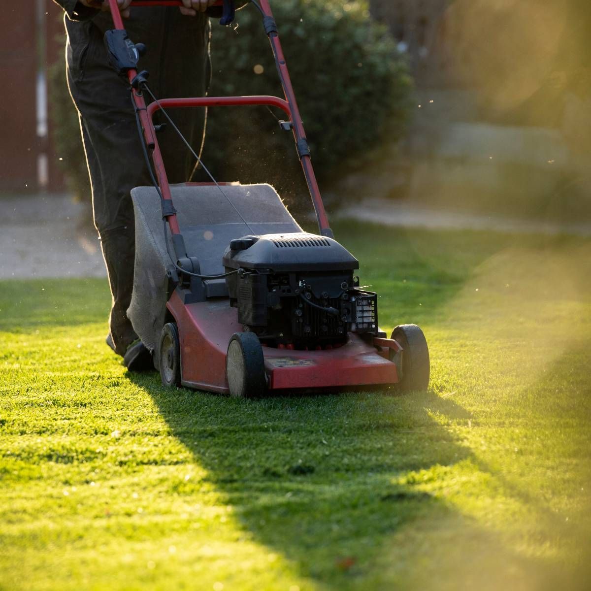 Person mowing a green lawn with a red lawnmower on a sunny day.