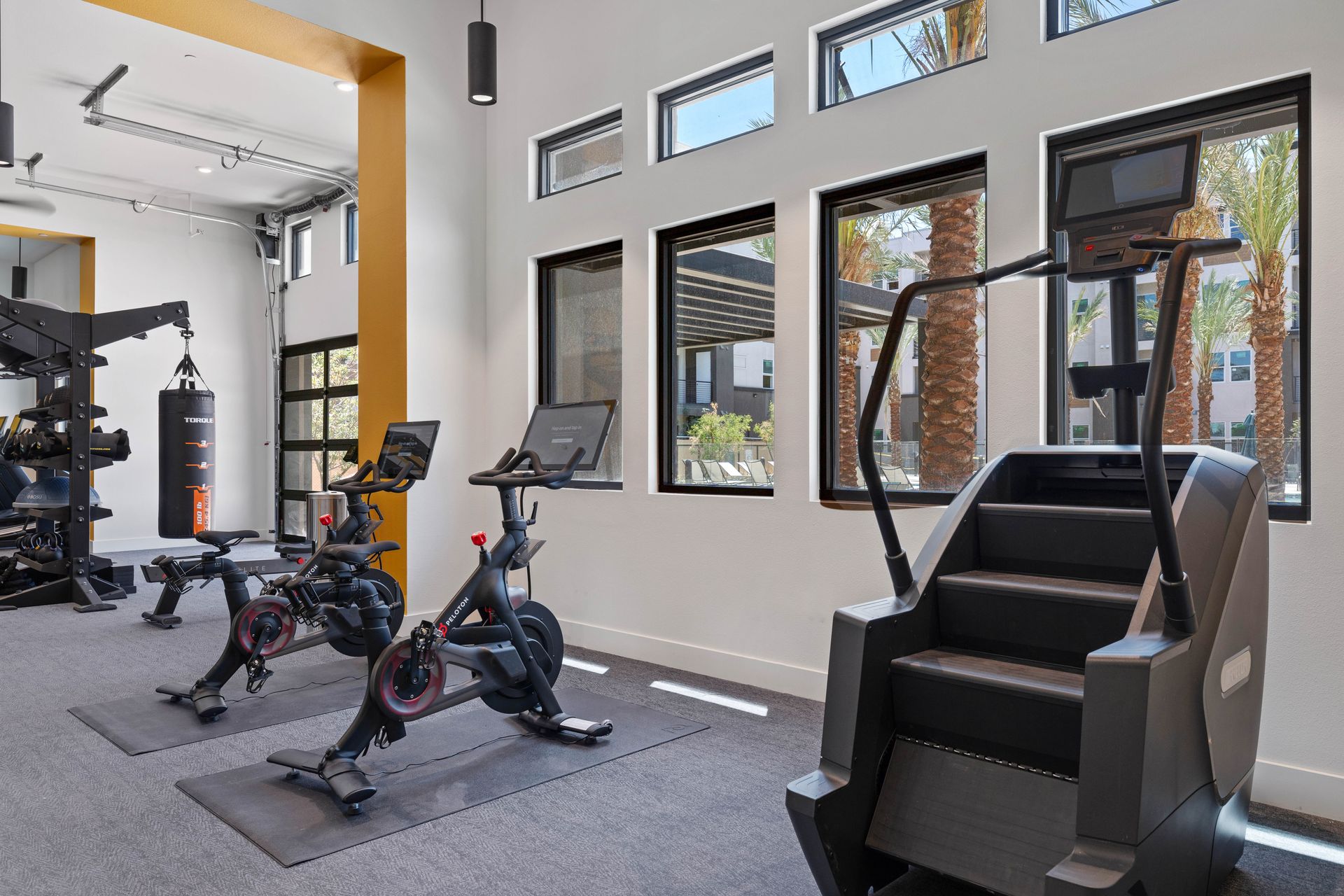 Gym interior with exercise bikes, stair stepper, and windows overlooking palm trees.