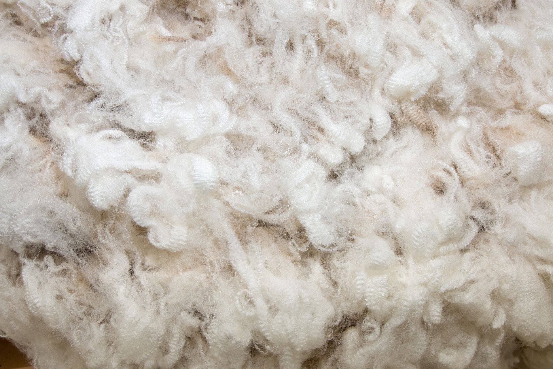 Merino Wool