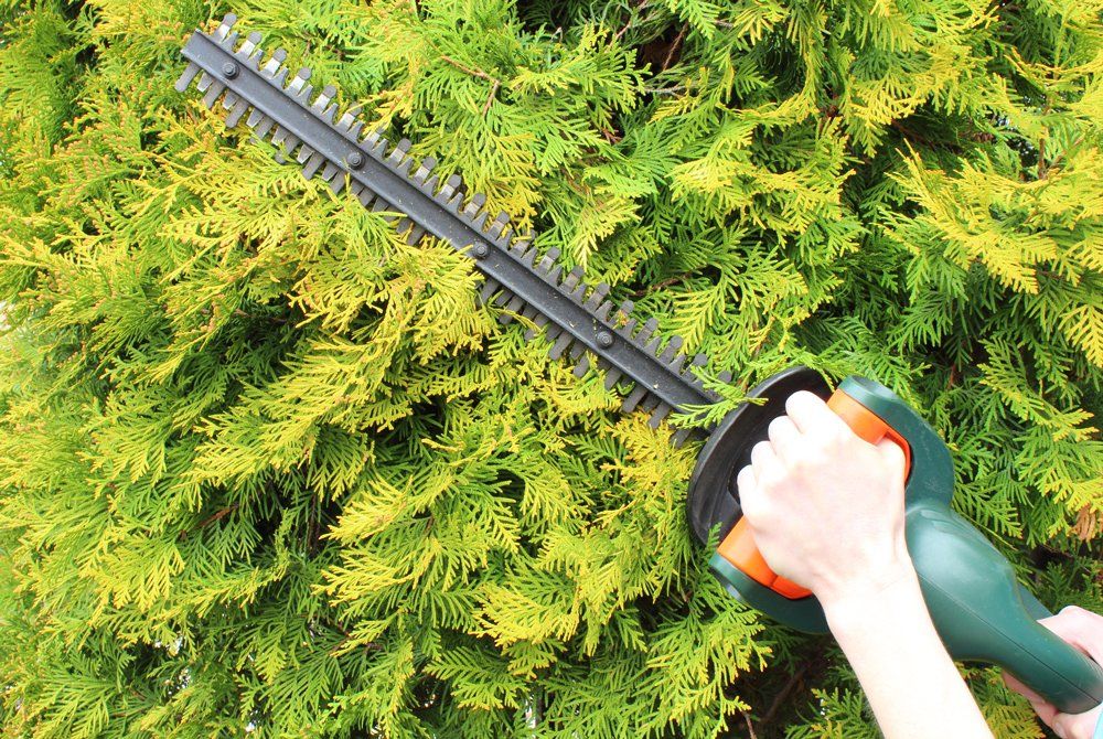 Gardener Using A Hedge Trimmer — Belle, MO — Feeler Tree Service