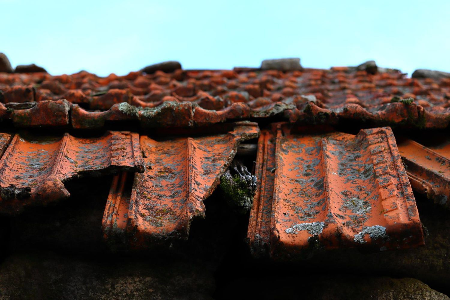 Why You Should Call a Public Adjuster Before a Roofer