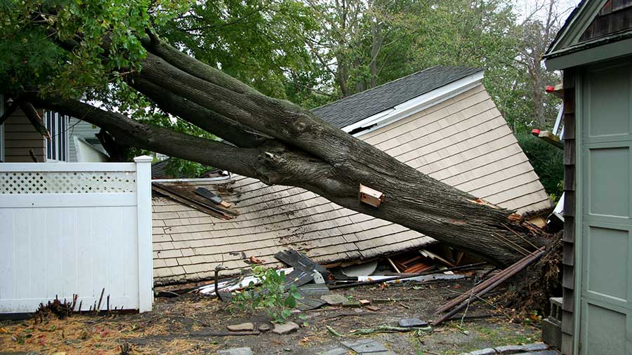 A large tree has fallen on top of a house.