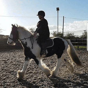 Riding lessons tailored to your needs