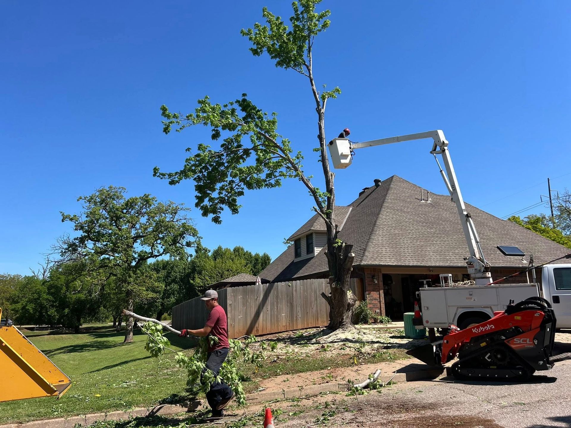 A man is cutting down a tree in front of a house.