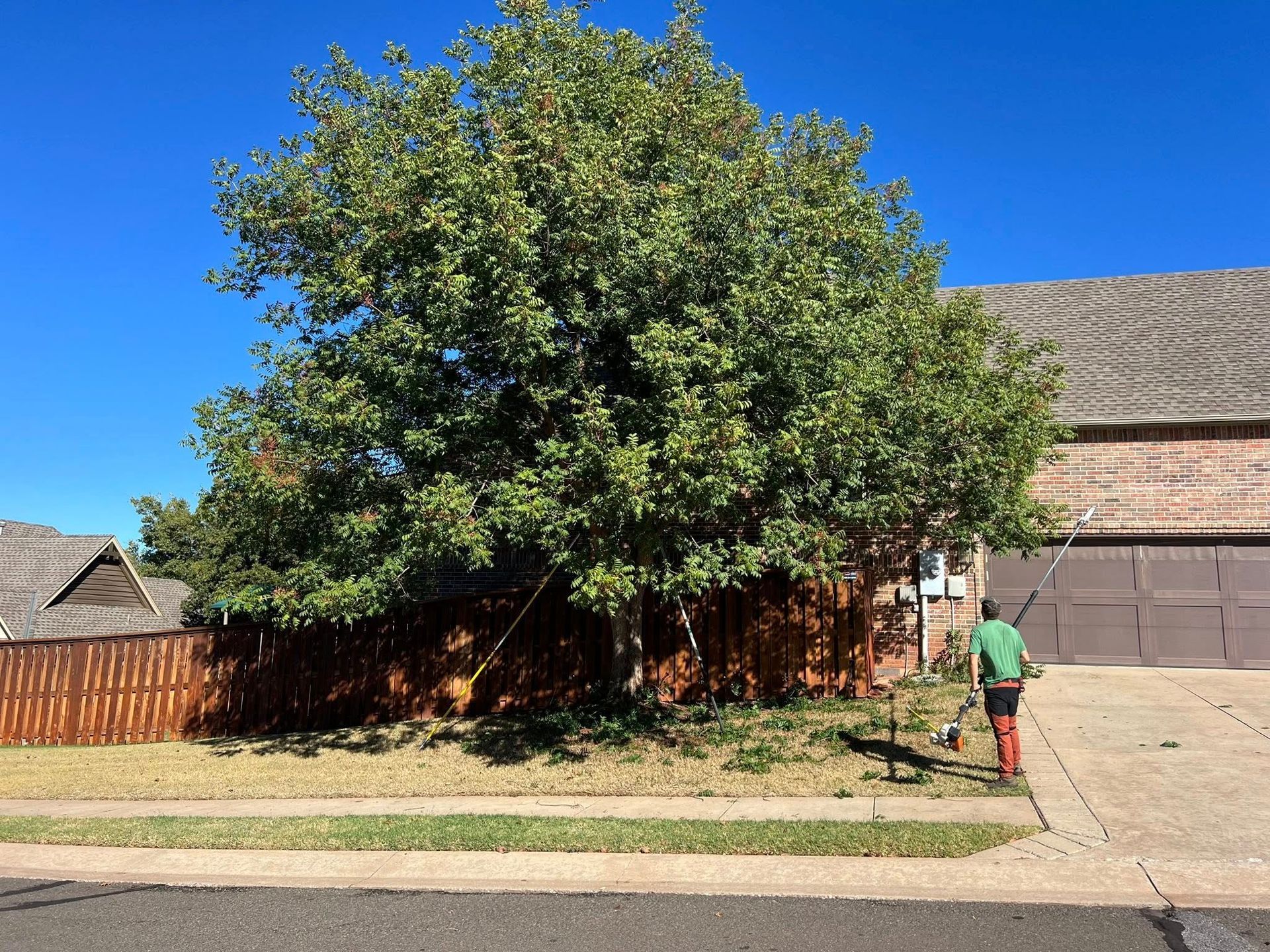 A man is standing in front of a large tree in a yard.