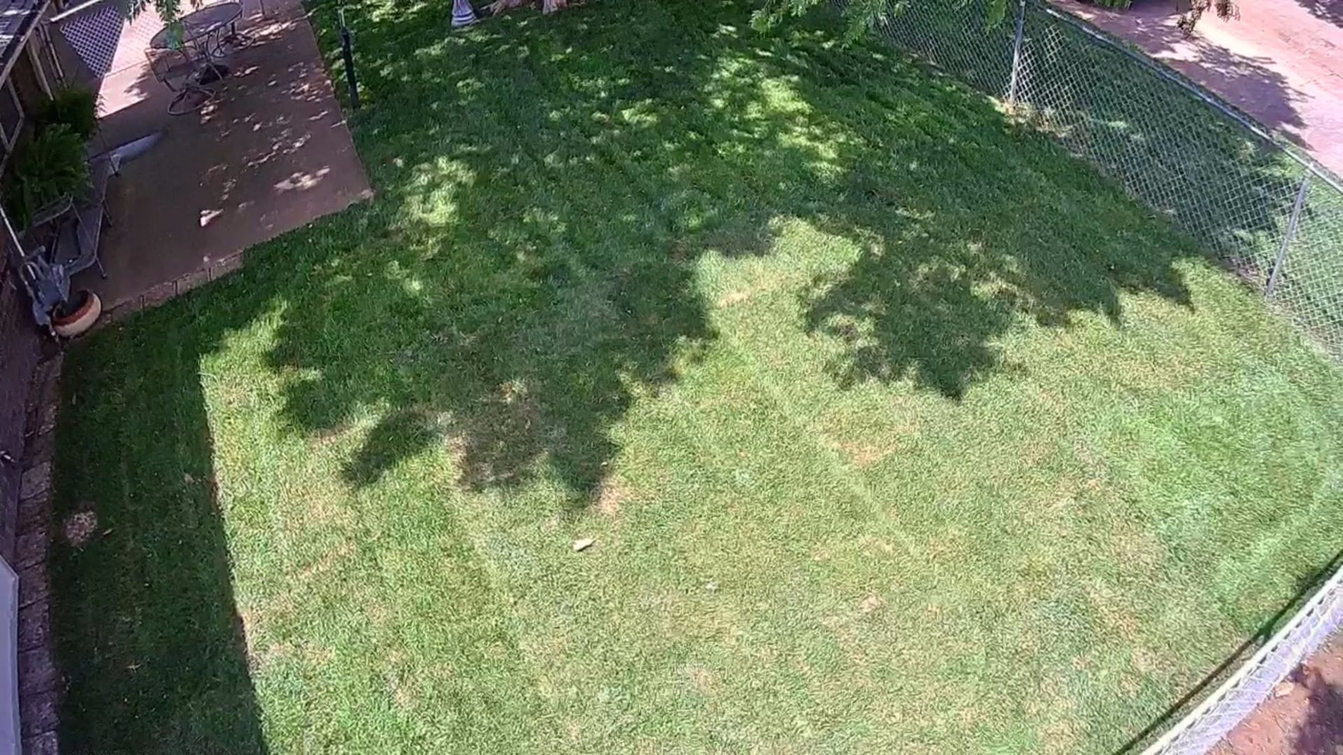 An aerial view of a lush green lawn with shadows of trees on it.