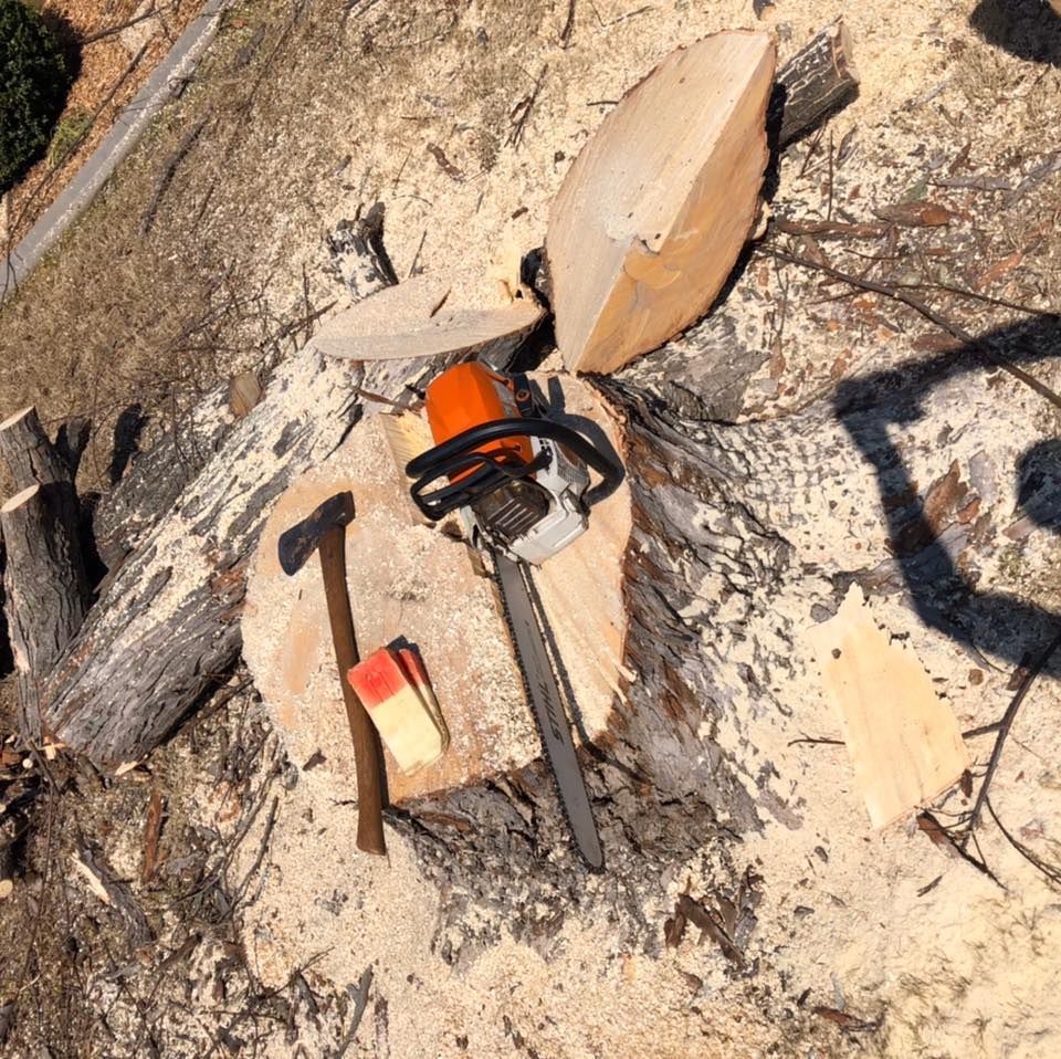 A chainsaw is sitting on top of a pile of wood