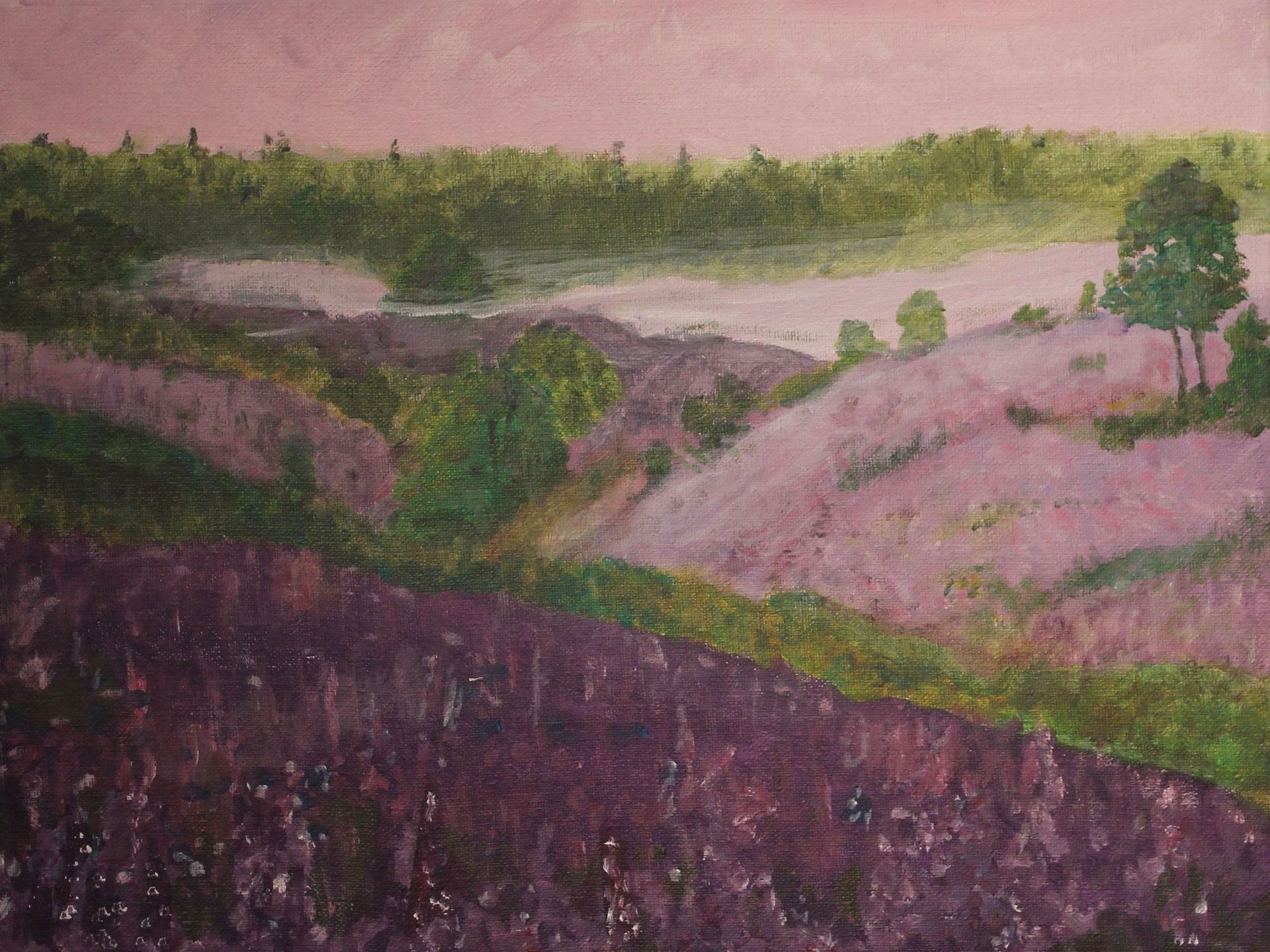 eindwerk schilderij heideveld