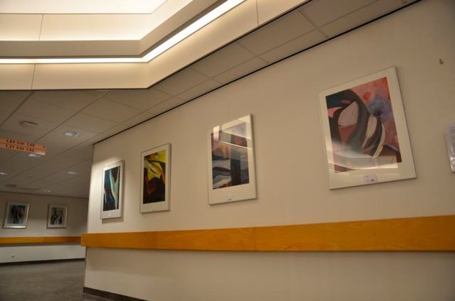 Expositie Ziekenhuis Sint Jansdal in Harderwijk