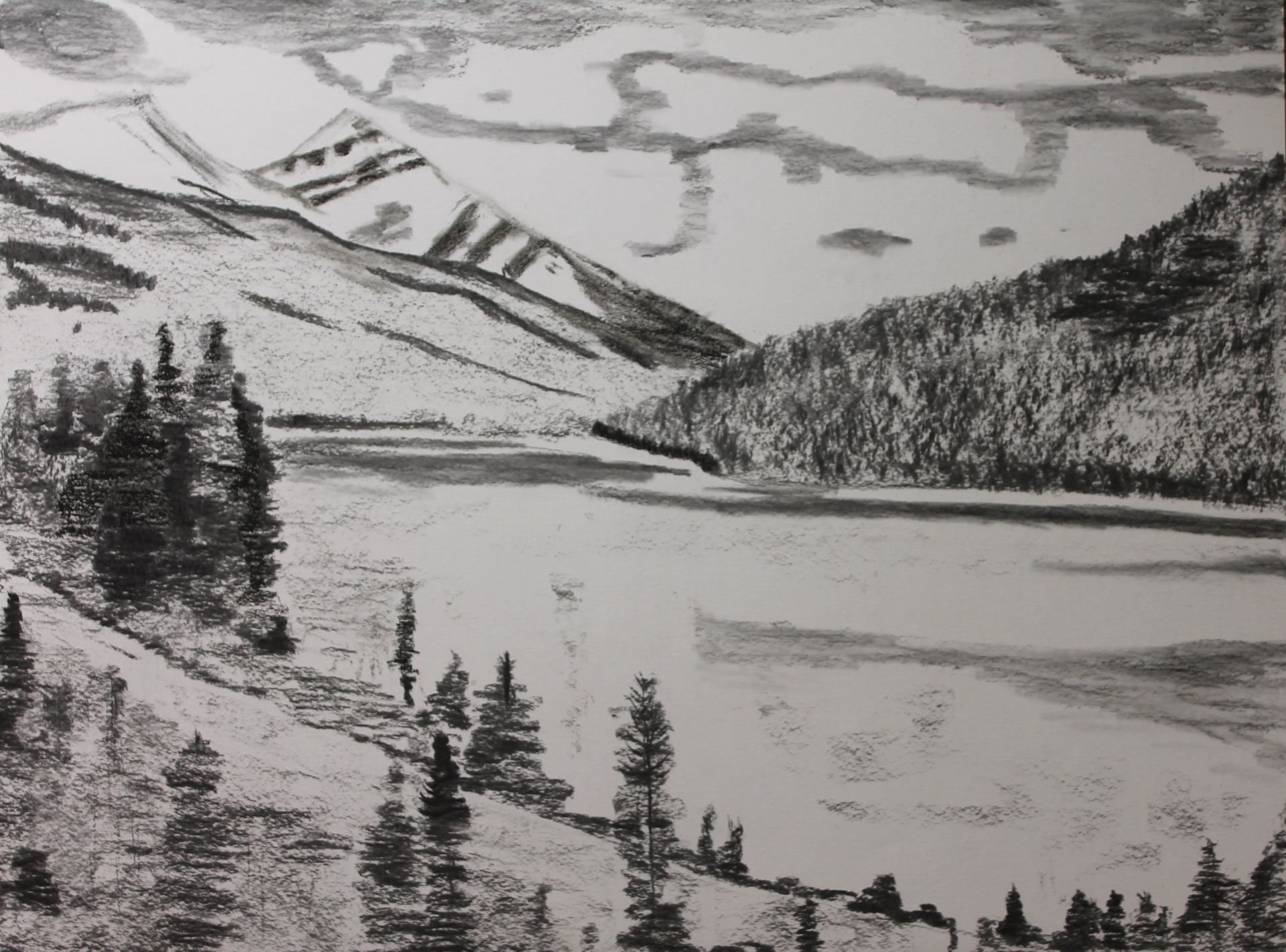 ijsvogel getekend met potlood