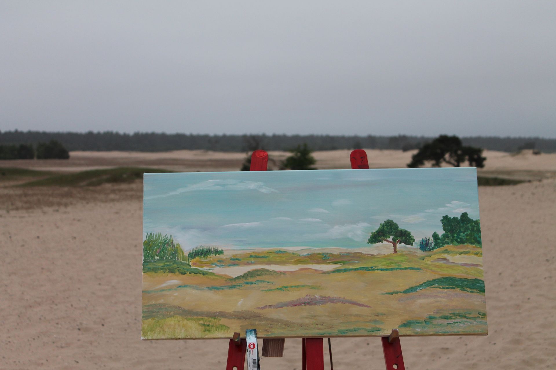 schildercursus op Beekhuizerzand in Harderwijk bij Studio MiSt