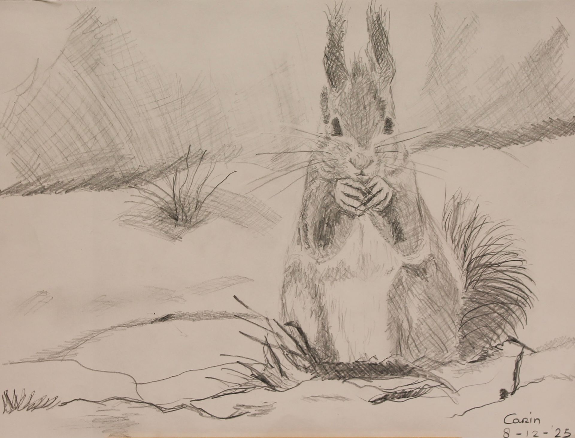 Eekhoorn met potlood