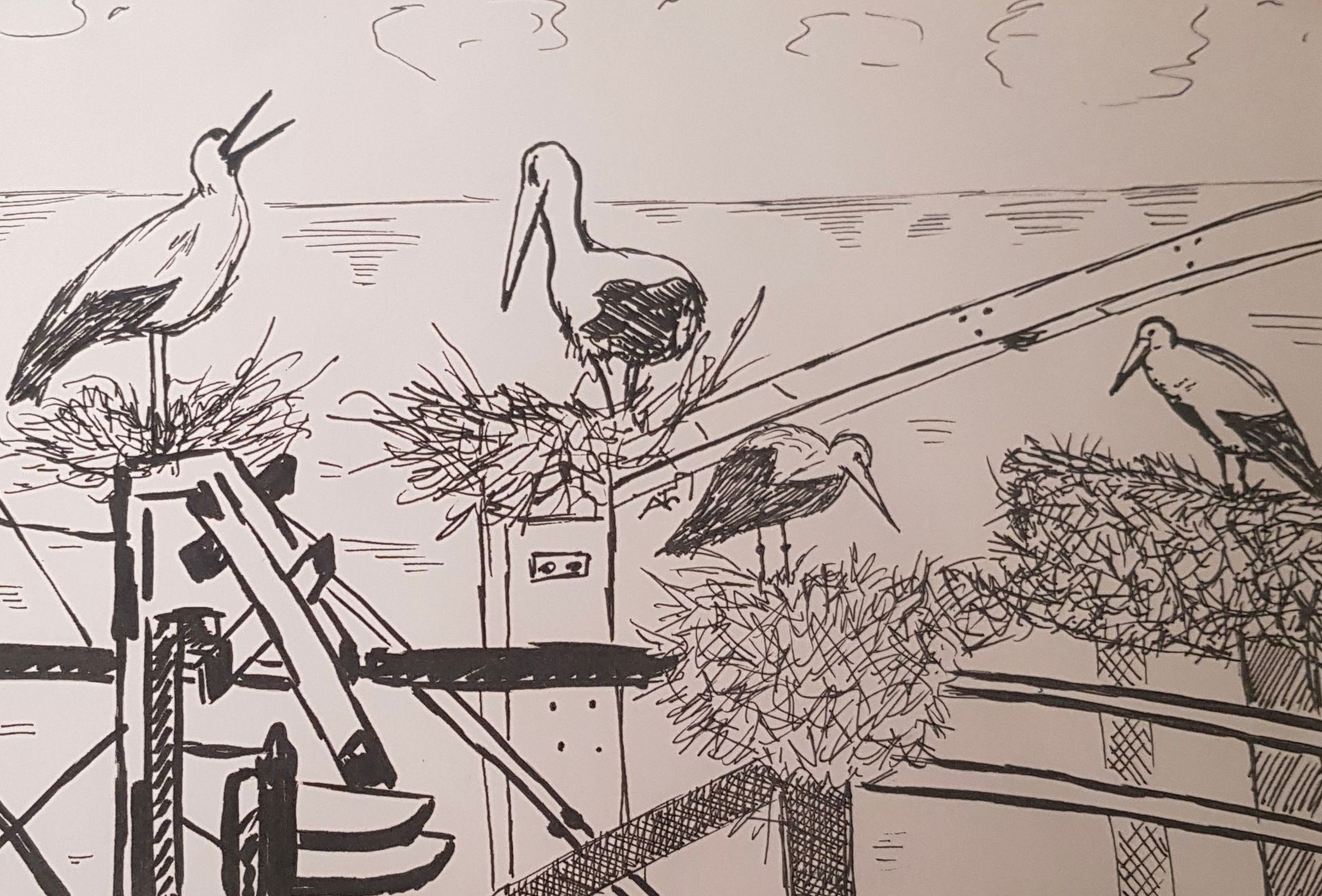 Een zwart-wit tekening van vogels op een hek
