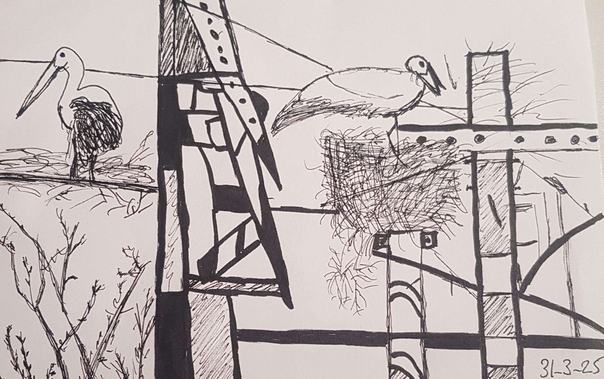 Een zwart-wit tekening van een pelikaan en een boom