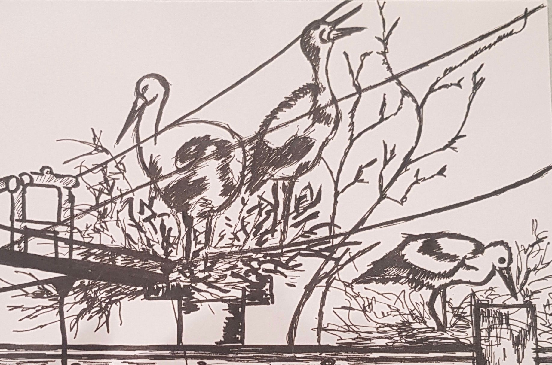 Een zwart-wit tekening van vogels op een brug