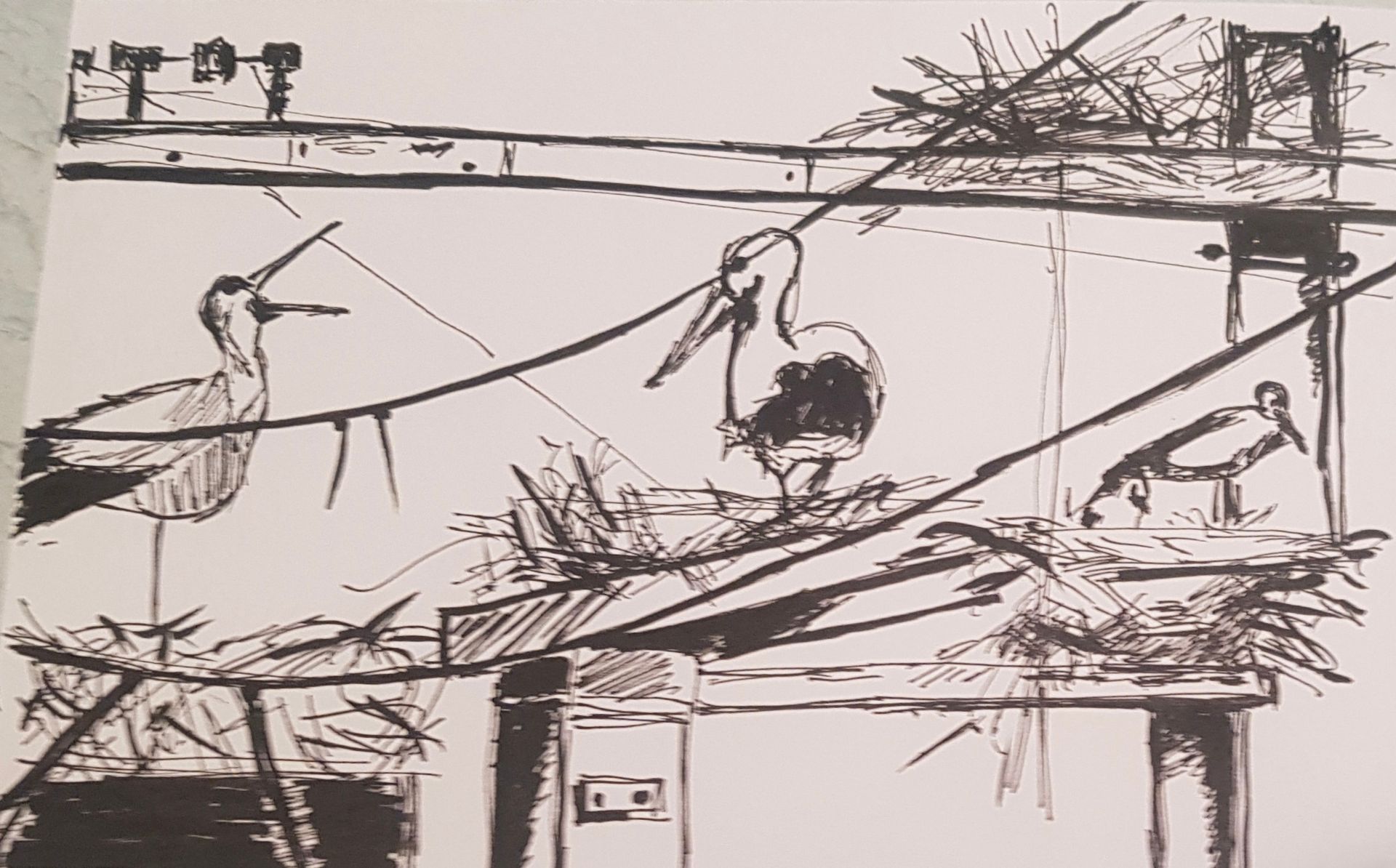 Een zwart-wit tekening van vogels op een dok