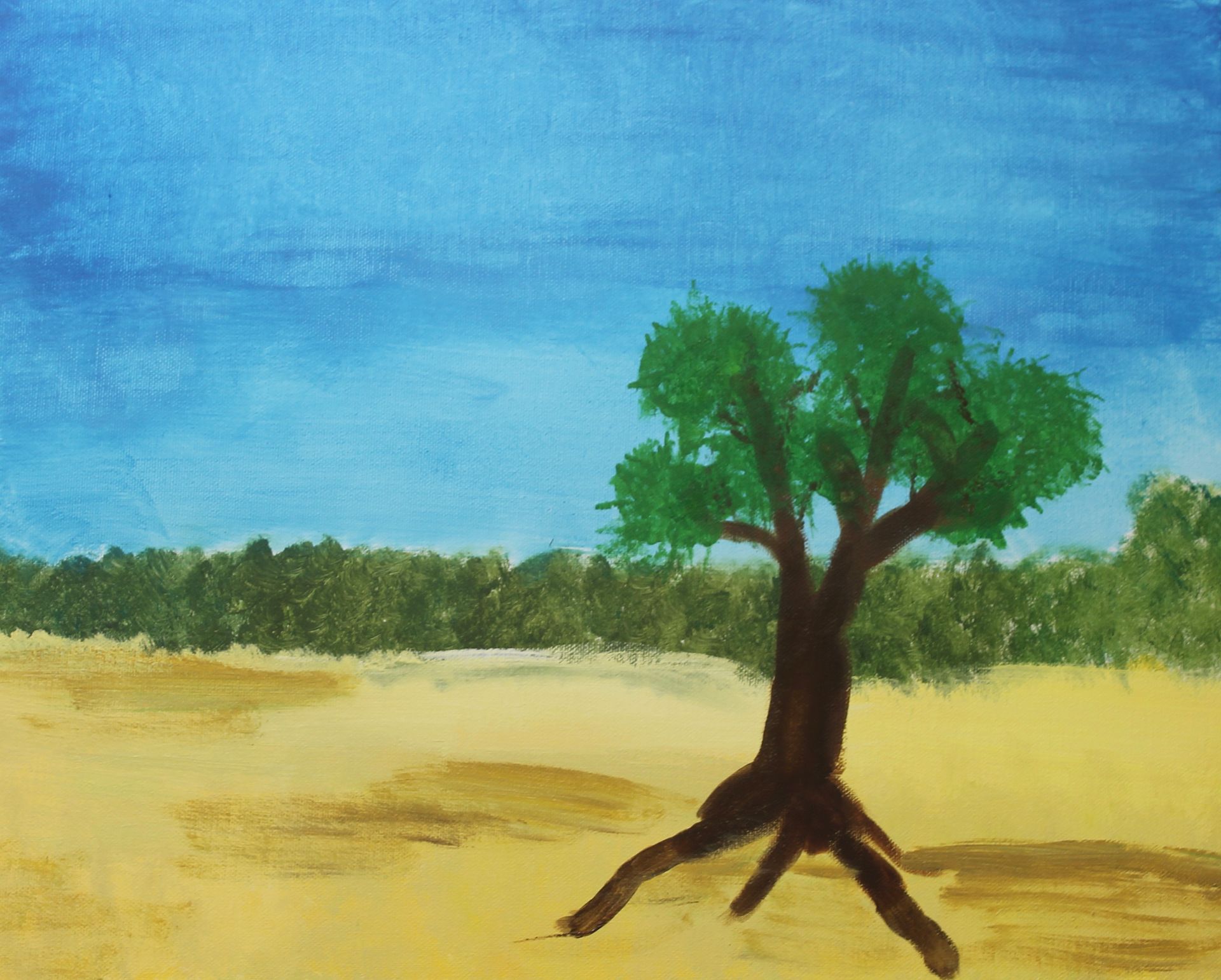 Schilderij met acrylverf tijdens een workshop bij Studio MiSt in Harderwijk