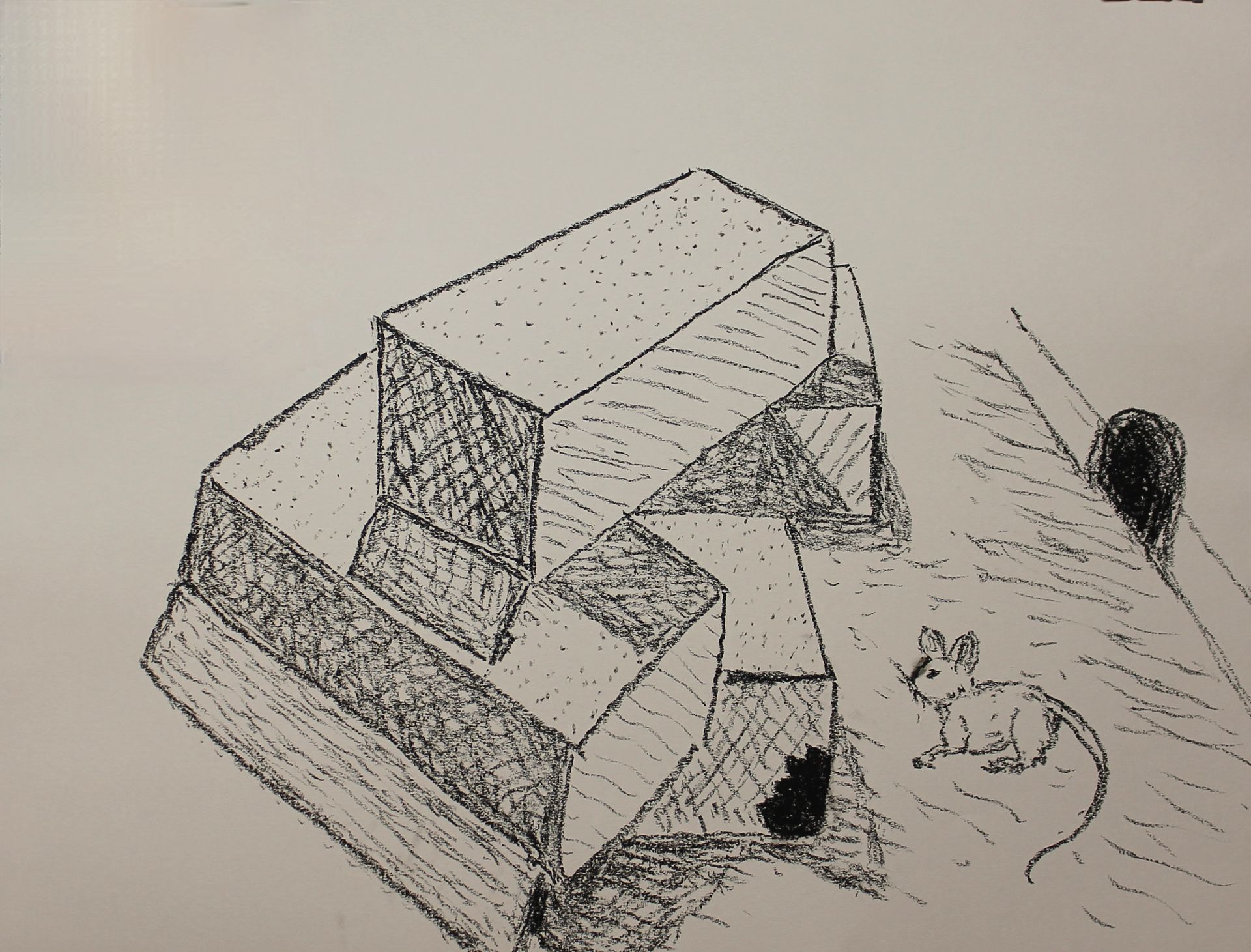 muisje tekenen met oliepastel