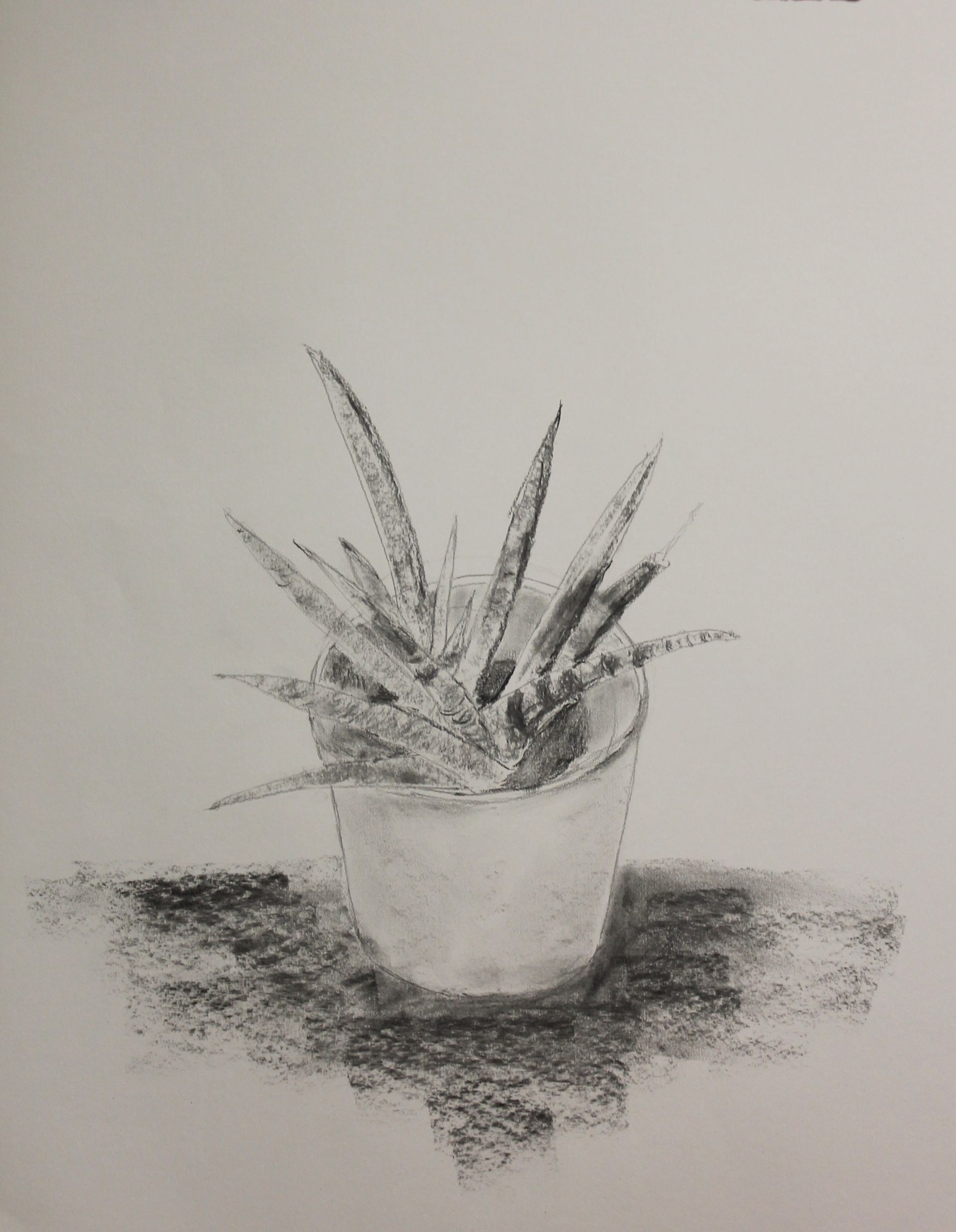 tekenen met houtskool