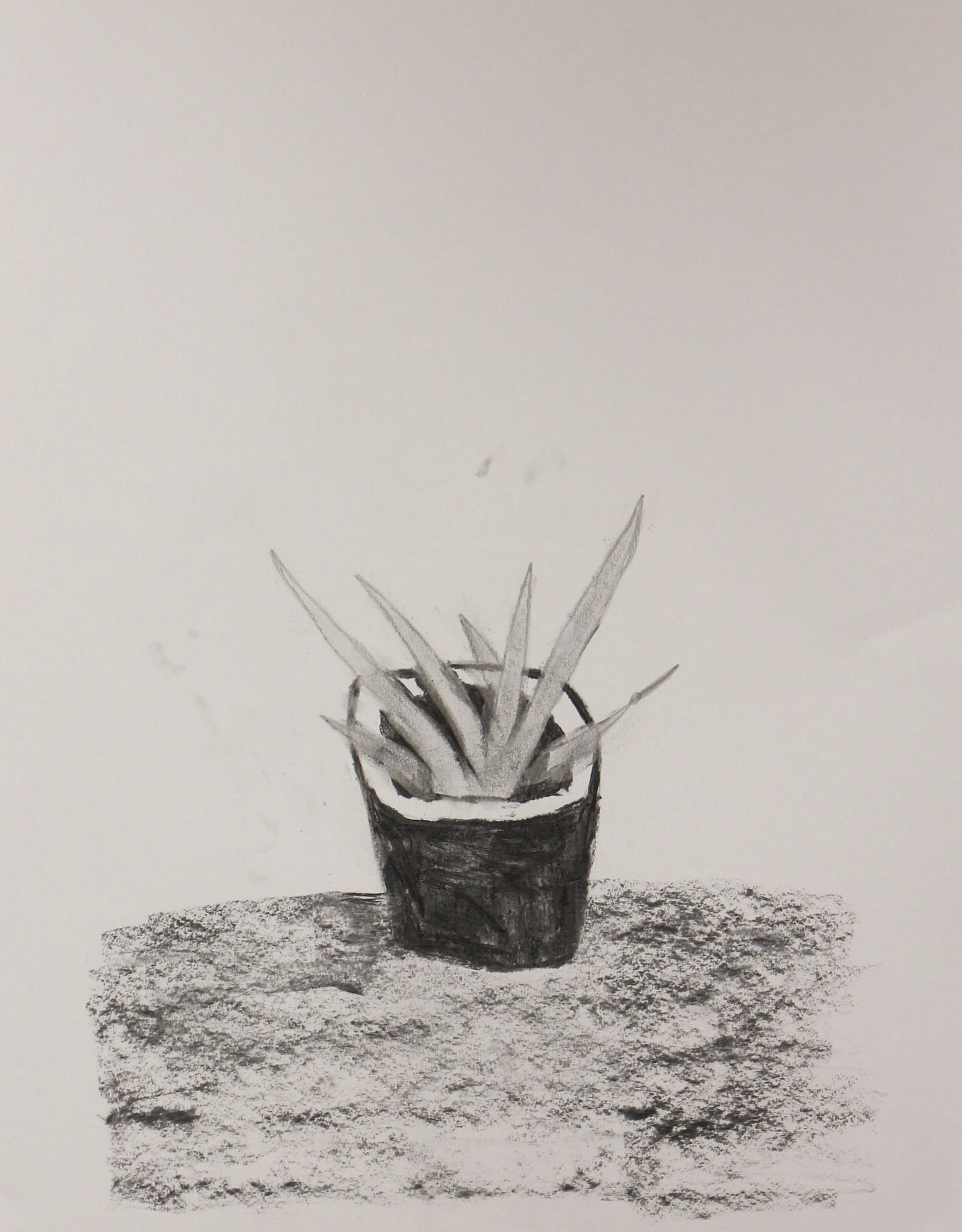 tekenen met houtskool bij Studio MiSt