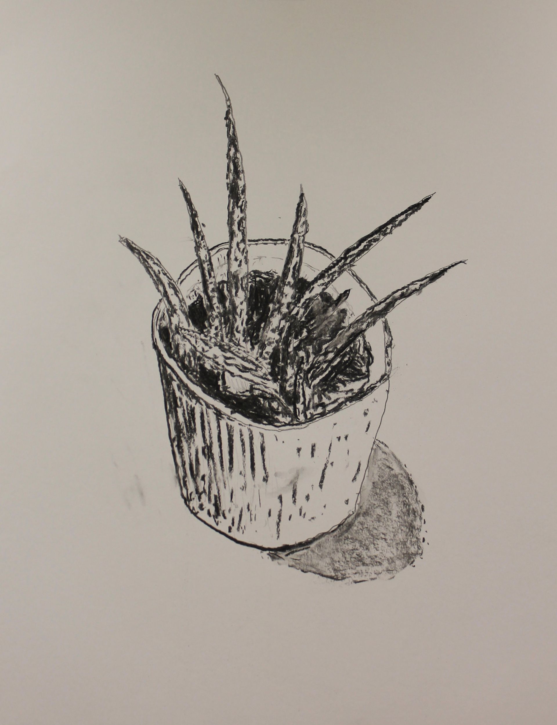 Plant met houtskool tekenen