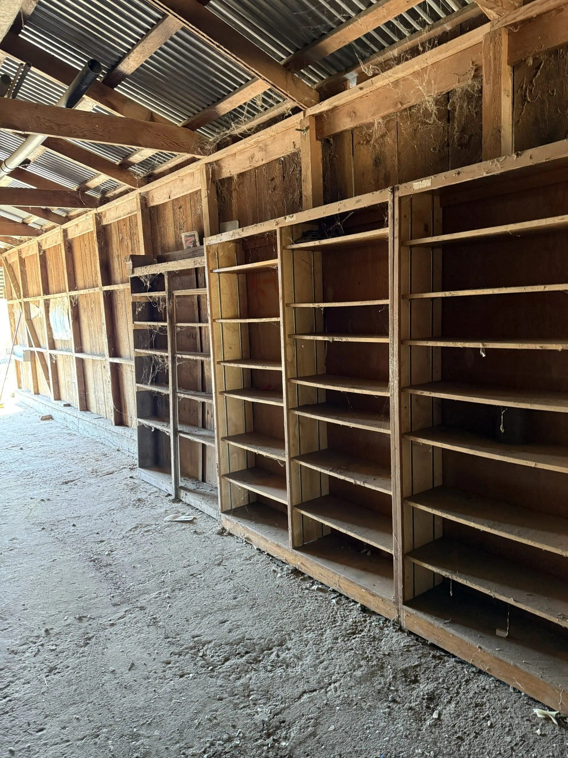 Wooden shelving units inside a shed with a corrugated metal roof and dirt floor.