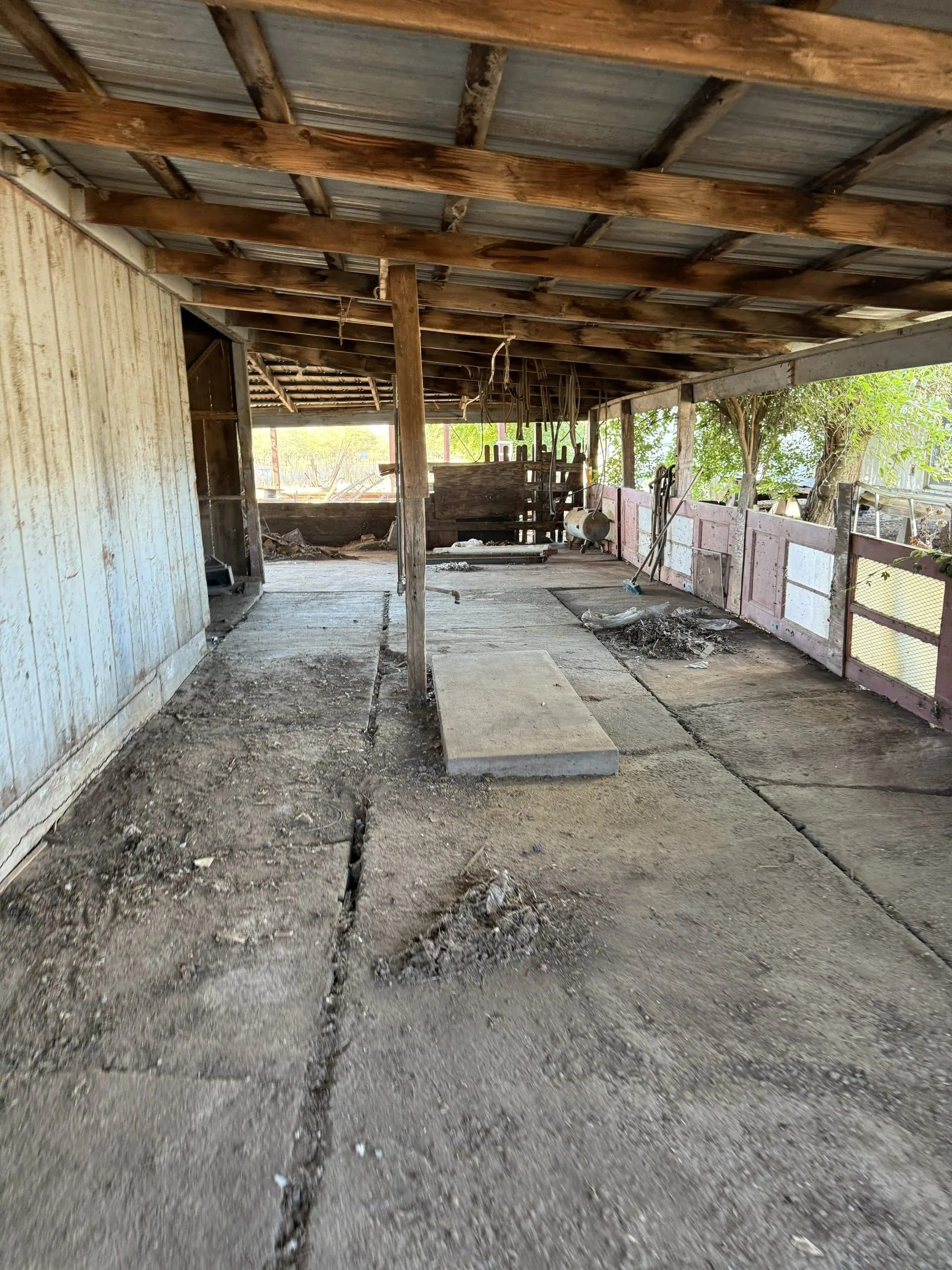 Dilapidated shed interior, dirt floor, wooden supports, rusted metal roof.