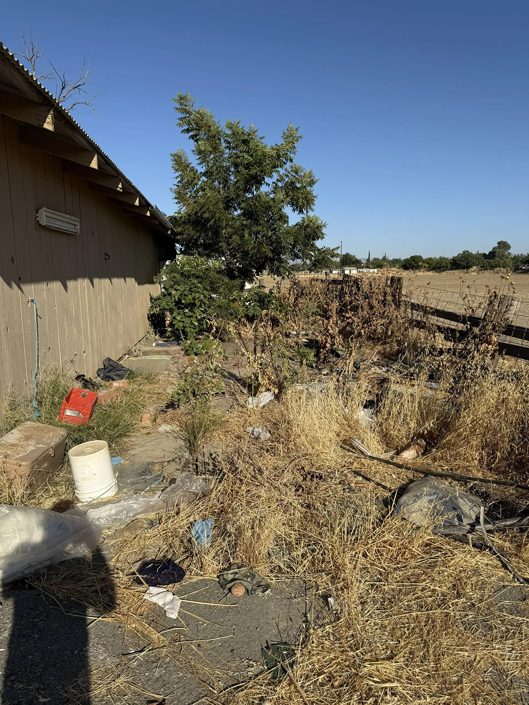 A cluttered area with a building, dry grass, and debris under a bright blue sky.
