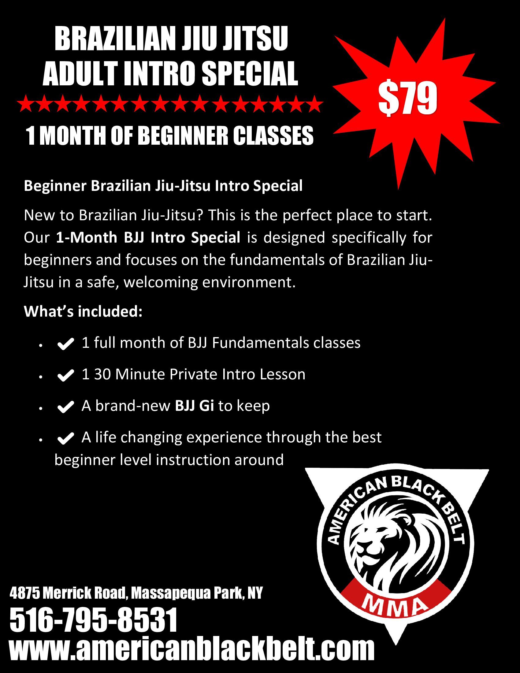 Adult Brazilian Jiu Jitsu Classes for Beginners in Massapequa Park, NY