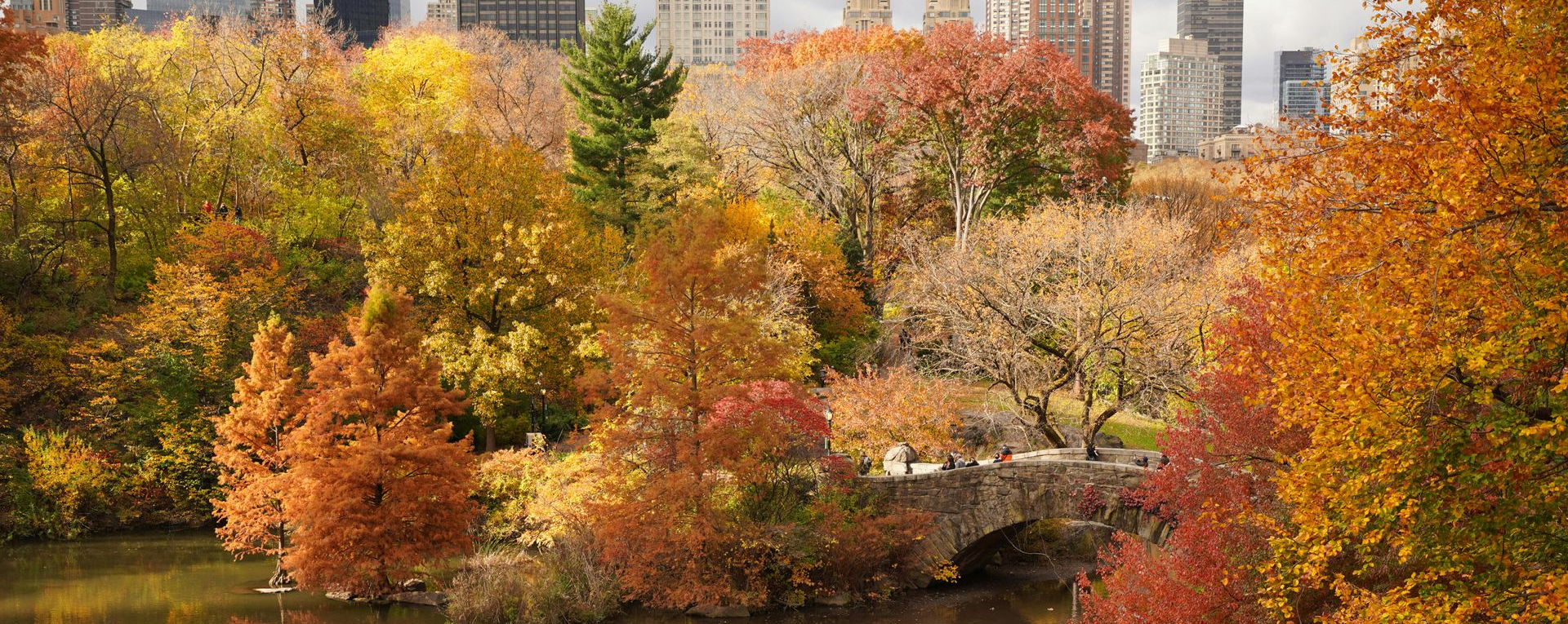 Central Park in the fall surrounded by the Manhattan skyline in New York City.