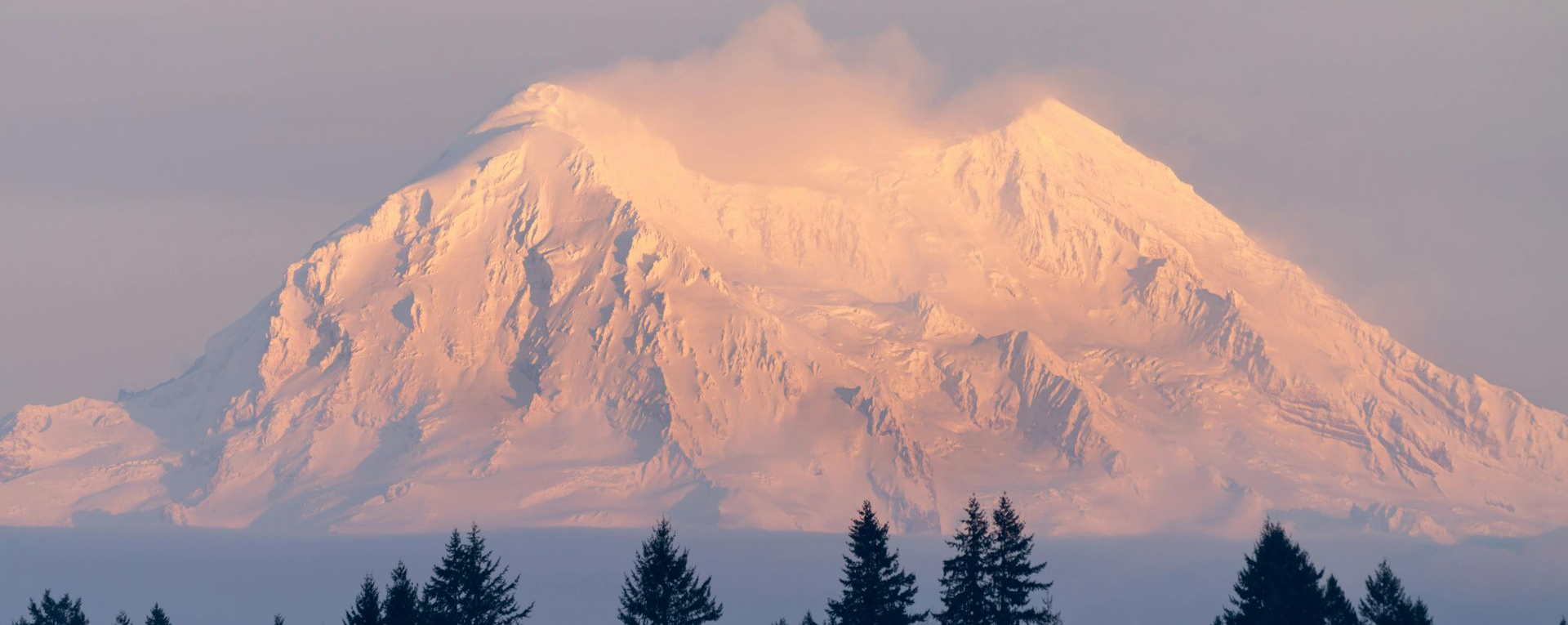 Snow covered Mount Rainier towering above Washington wilderness.