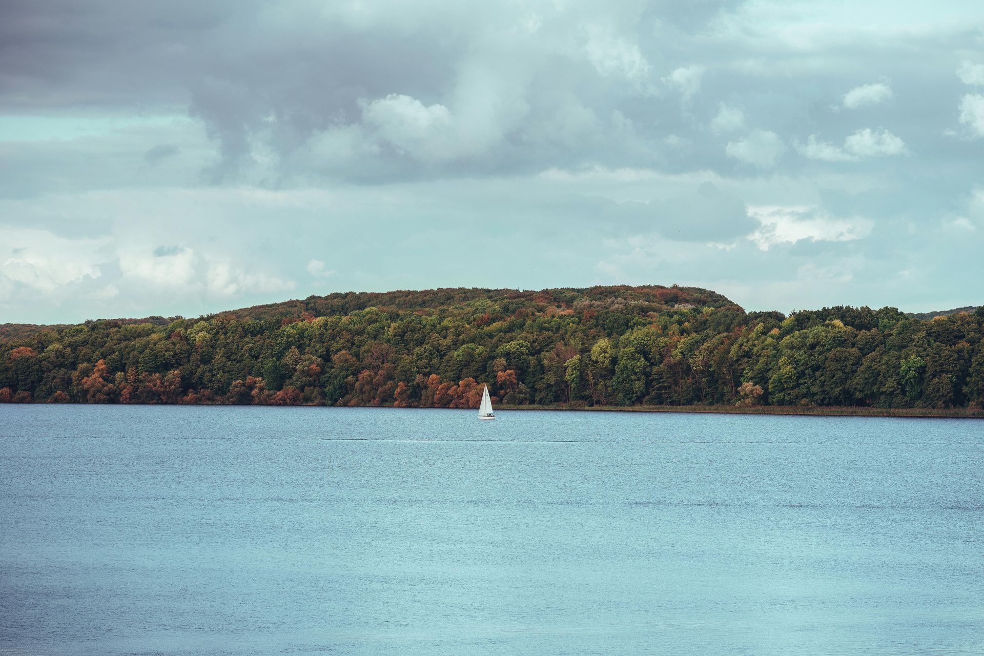 Delaware lake landscape with sailboat