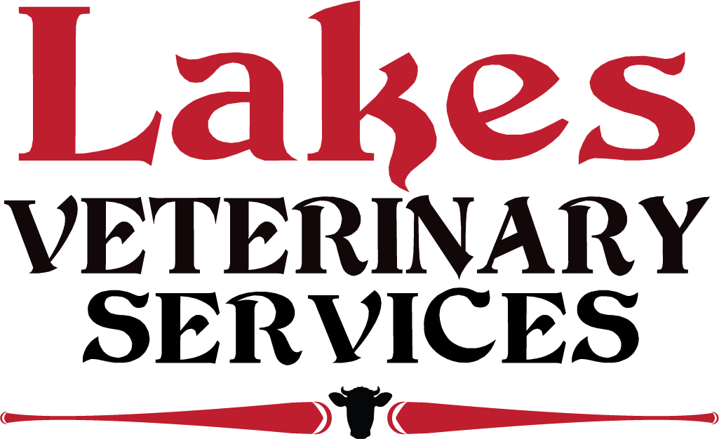 (203) 4811394 Branford, CT Veterinary Services