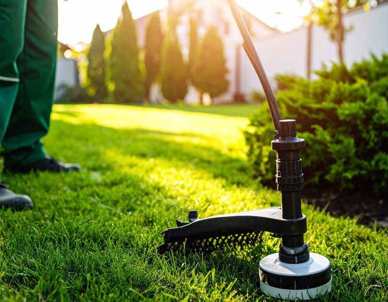 A person is using a lawn mower to cut the grass.