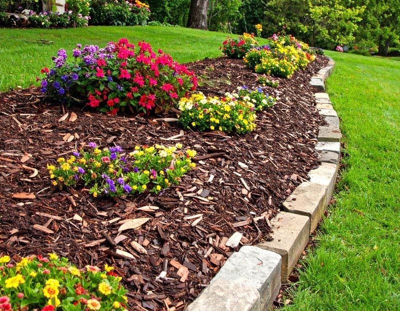 A garden filled with lots of flowers and mulch.