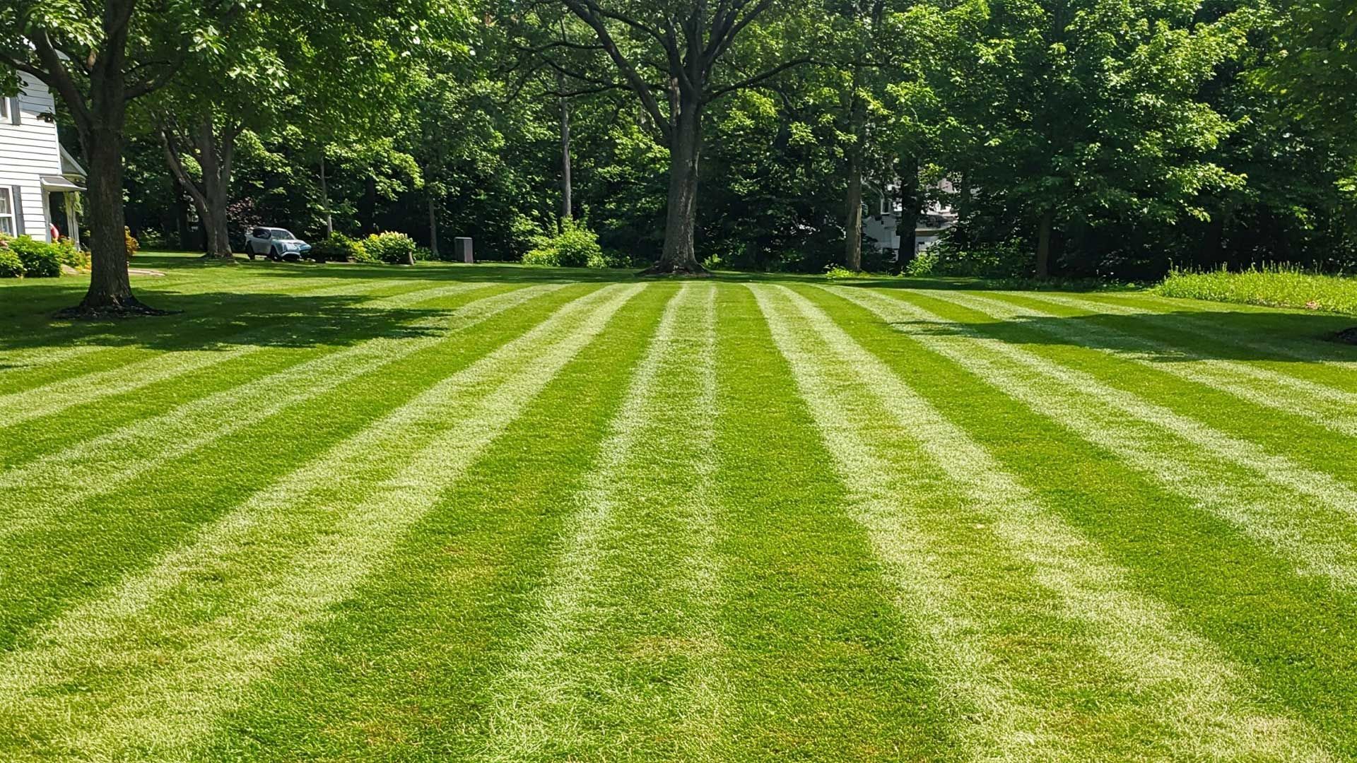 A lush green lawn with trees in the background and a house in the background.