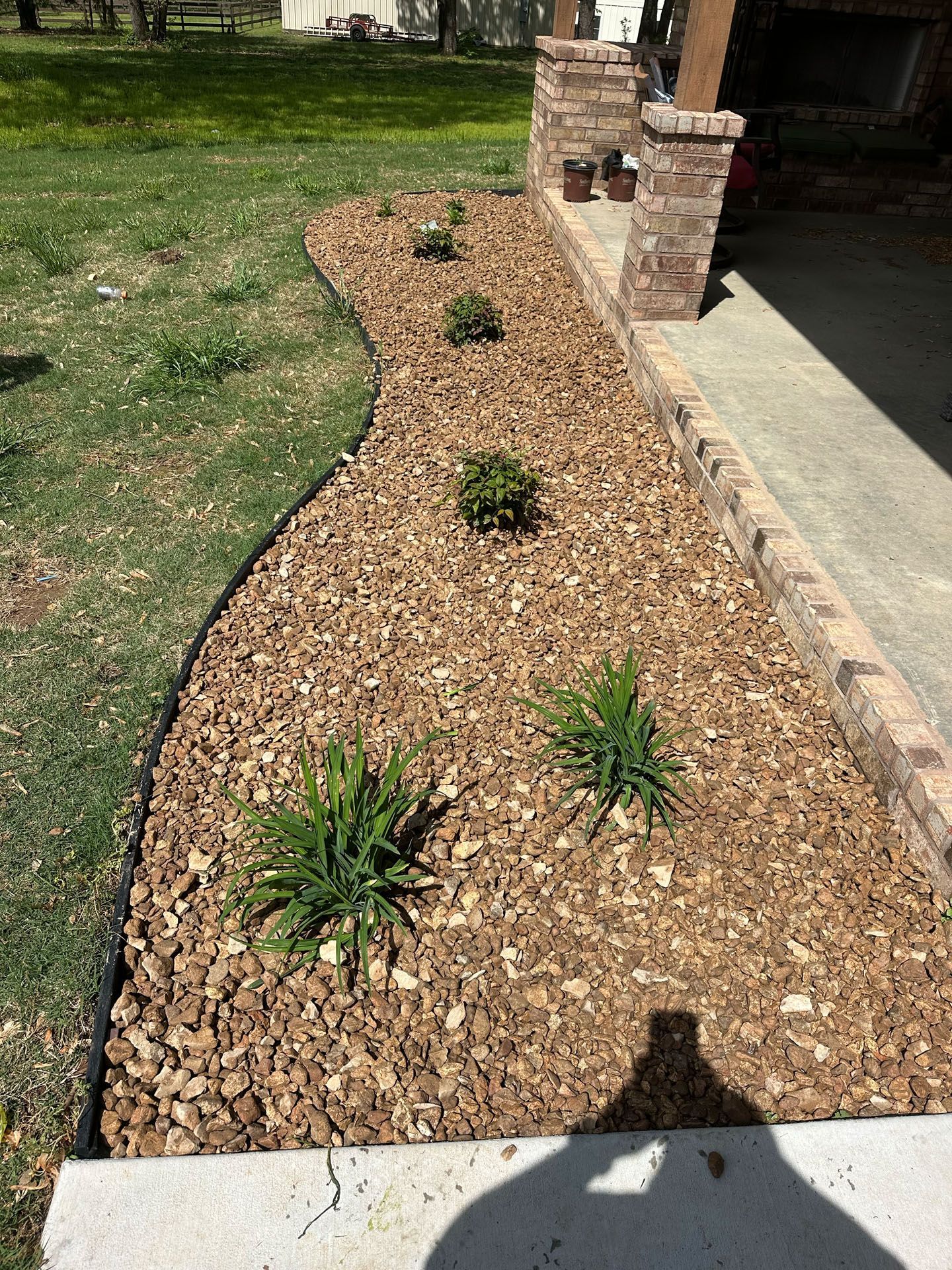 A row of plants growing in a garden next to a driveway.