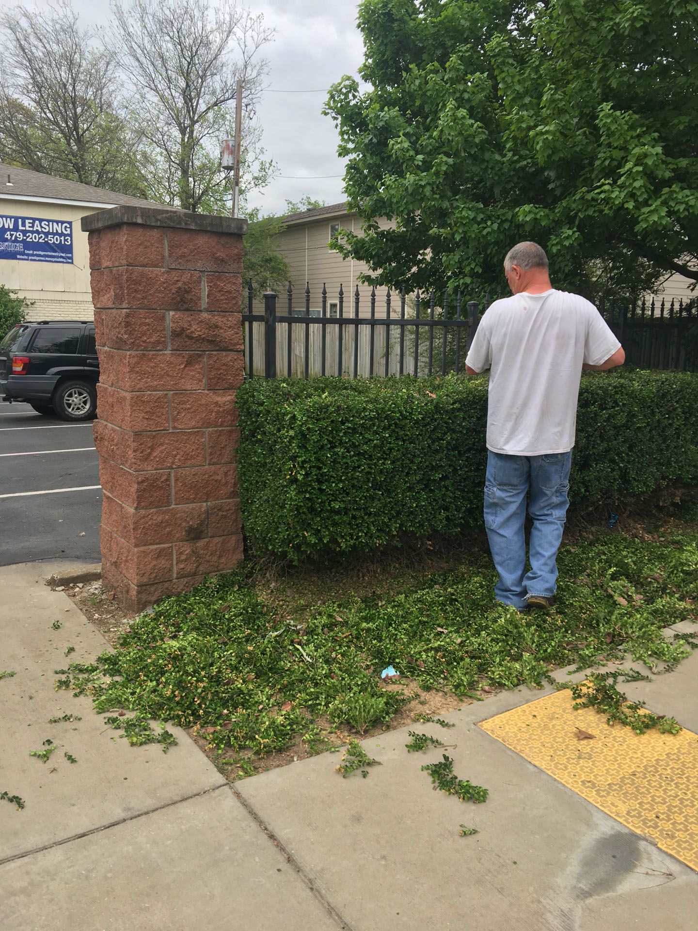 A man in a white shirt is standing next to a hedge.