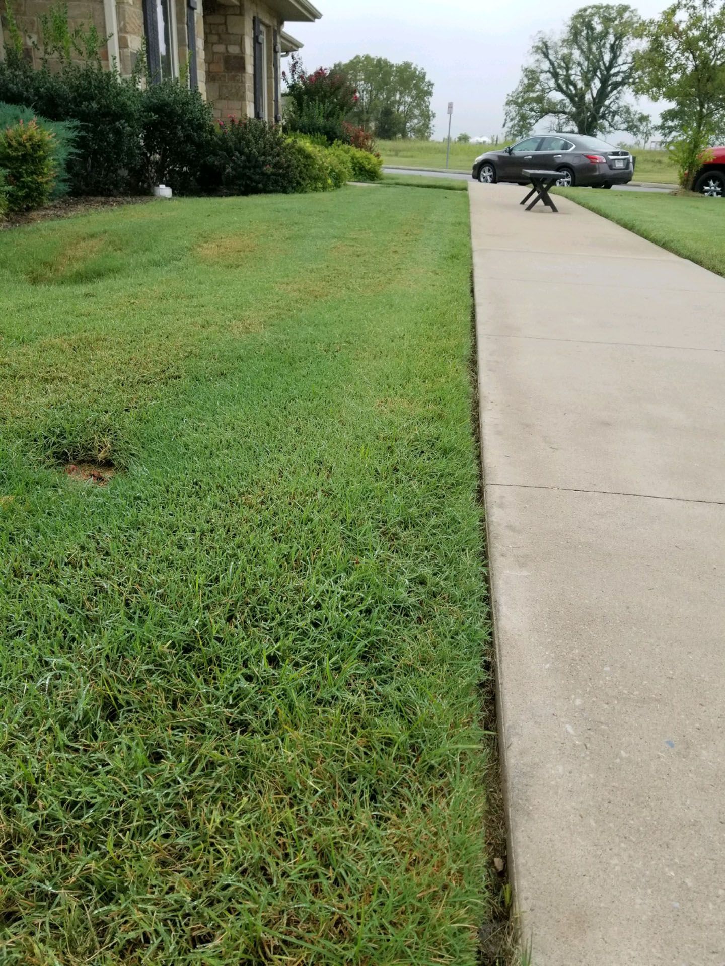 A sidewalk next to a lush green lawn and a house.