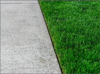 A concrete sidewalk next to a lush green lawn.