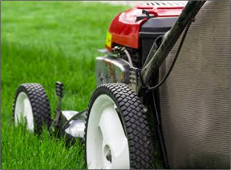 A lawn mower is cutting a lush green lawn.