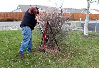 A man is cutting a bush with a tool in a yard.
