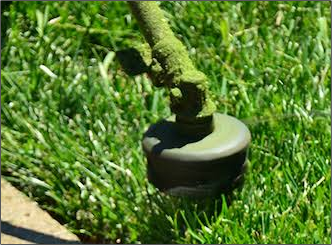 A close up of a lawn mower in the grass.